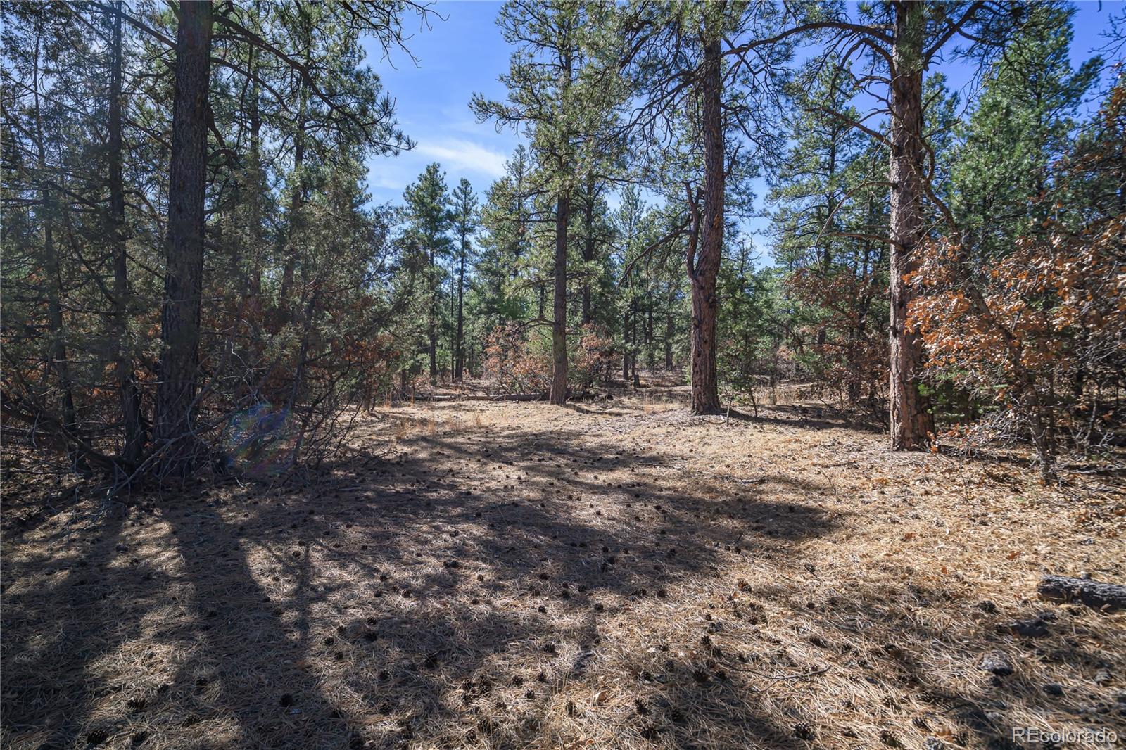 17990 King Road Weston CO 81091