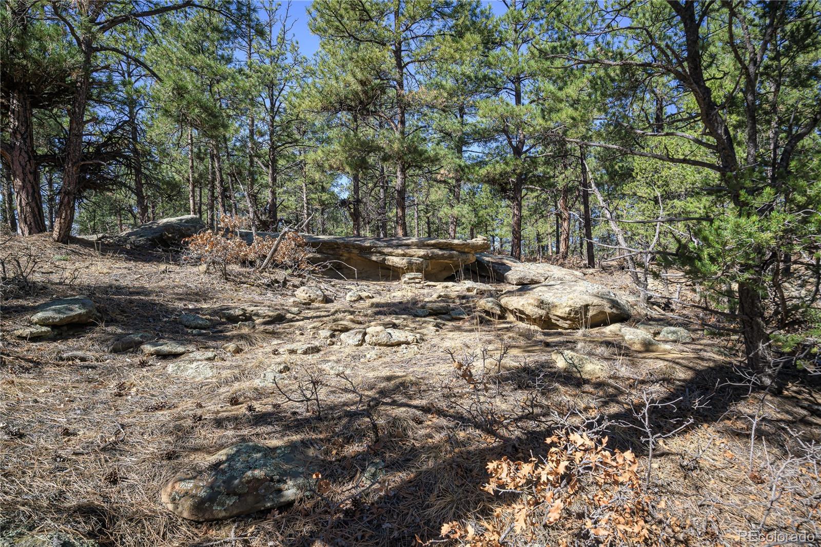 17990 King Road Weston CO 81091