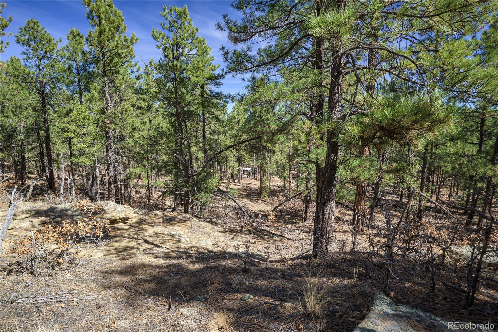 17990 King Road Weston CO 81091