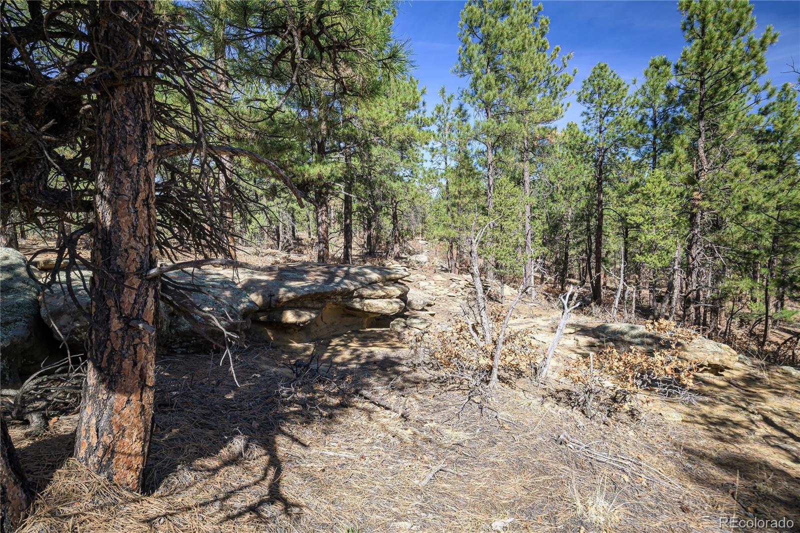 17990 King Road Weston CO 81091