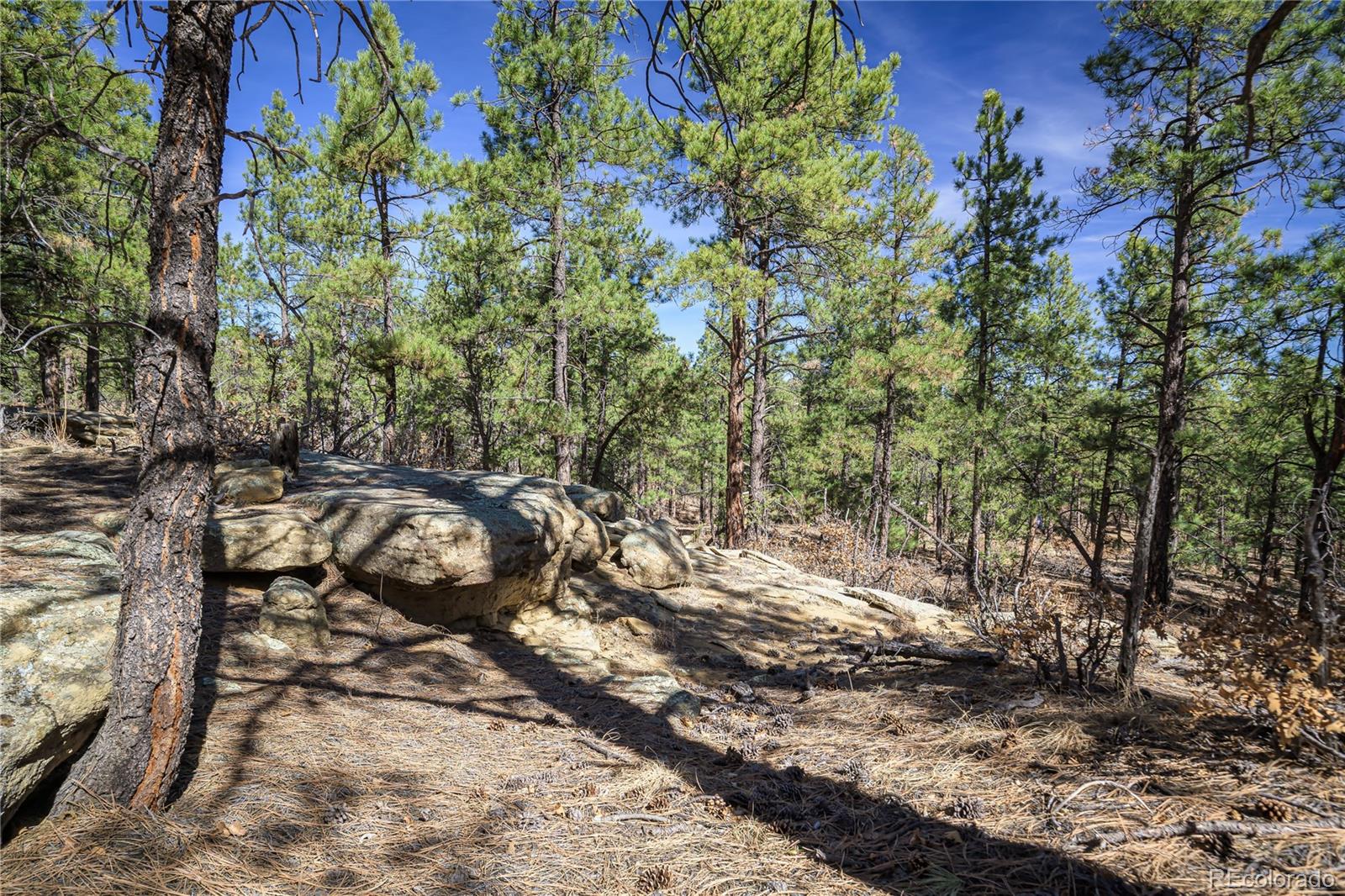 17990 King Road Weston CO 81091