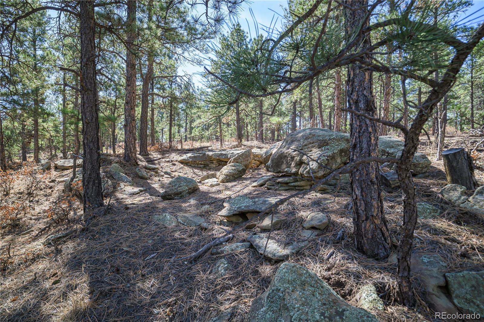 17990 King Road Weston CO 81091