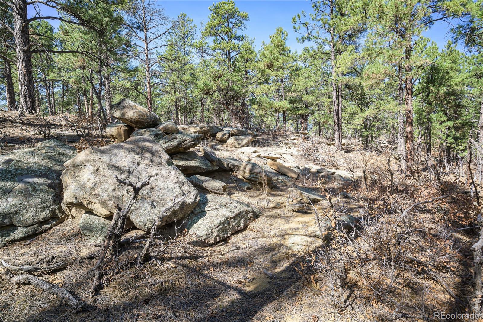 17990 King Road Weston CO 81091