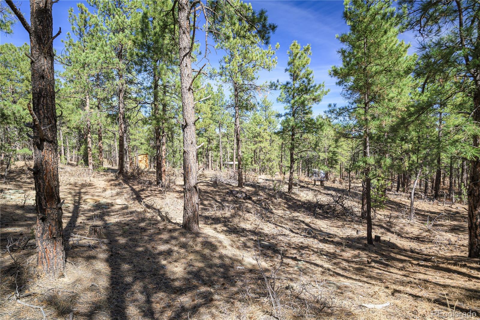 17990 King Road Weston CO 81091