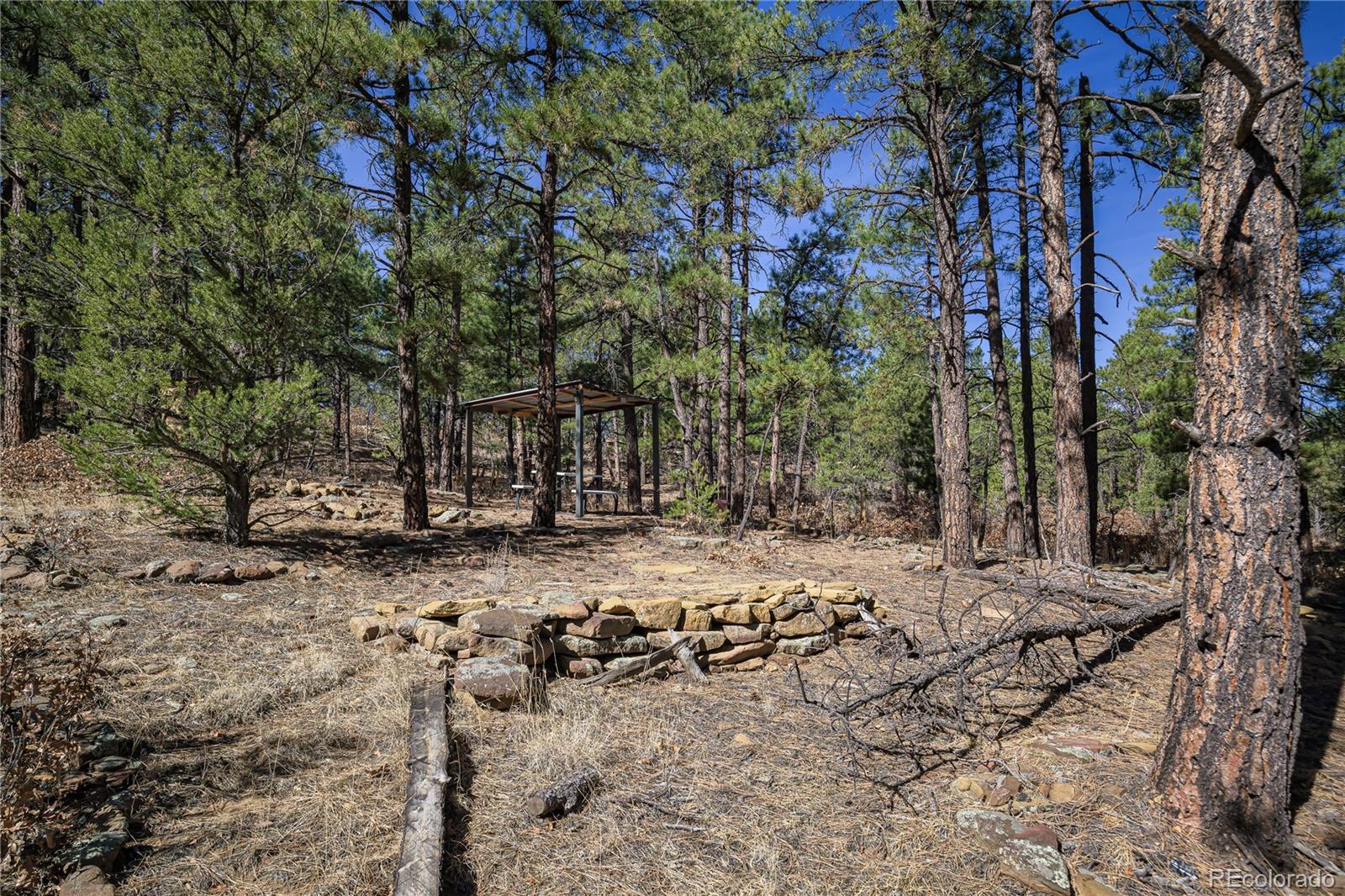 17990 King Road Weston CO 81091