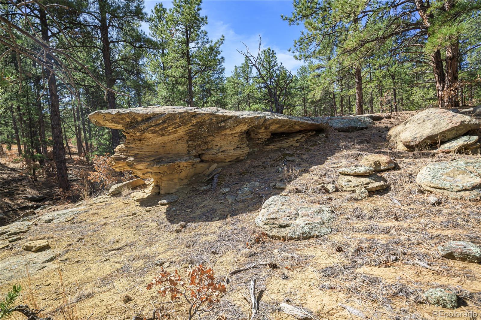 17990 King Road Weston CO 81091