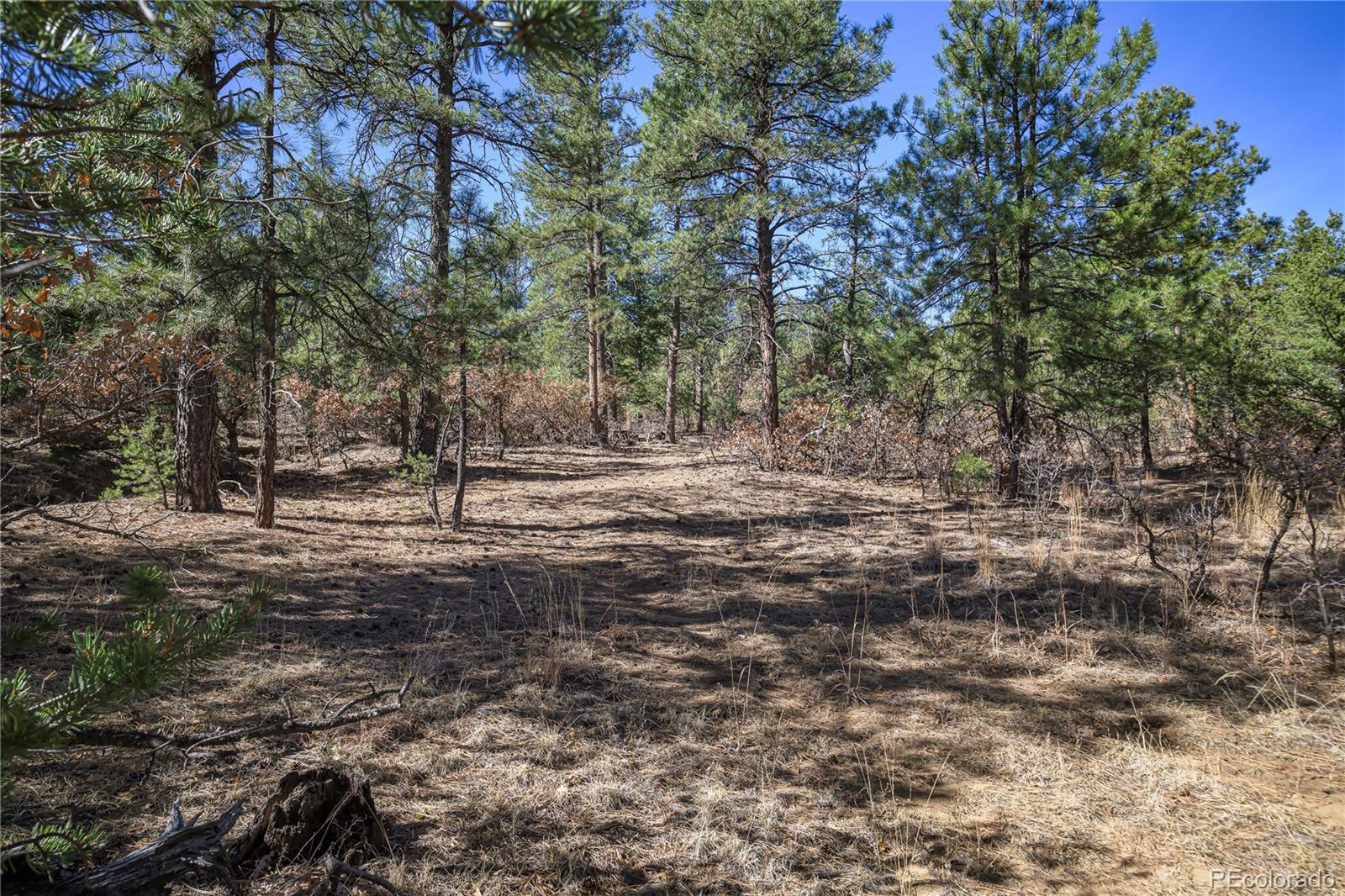 17990 King Road Weston CO 81091