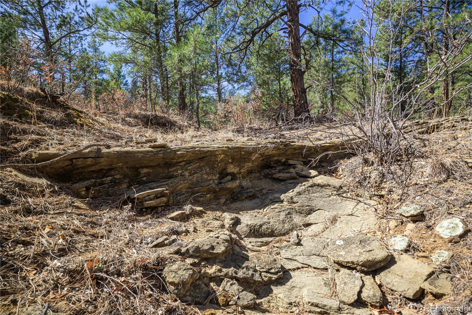17990 King Road Weston CO 81091