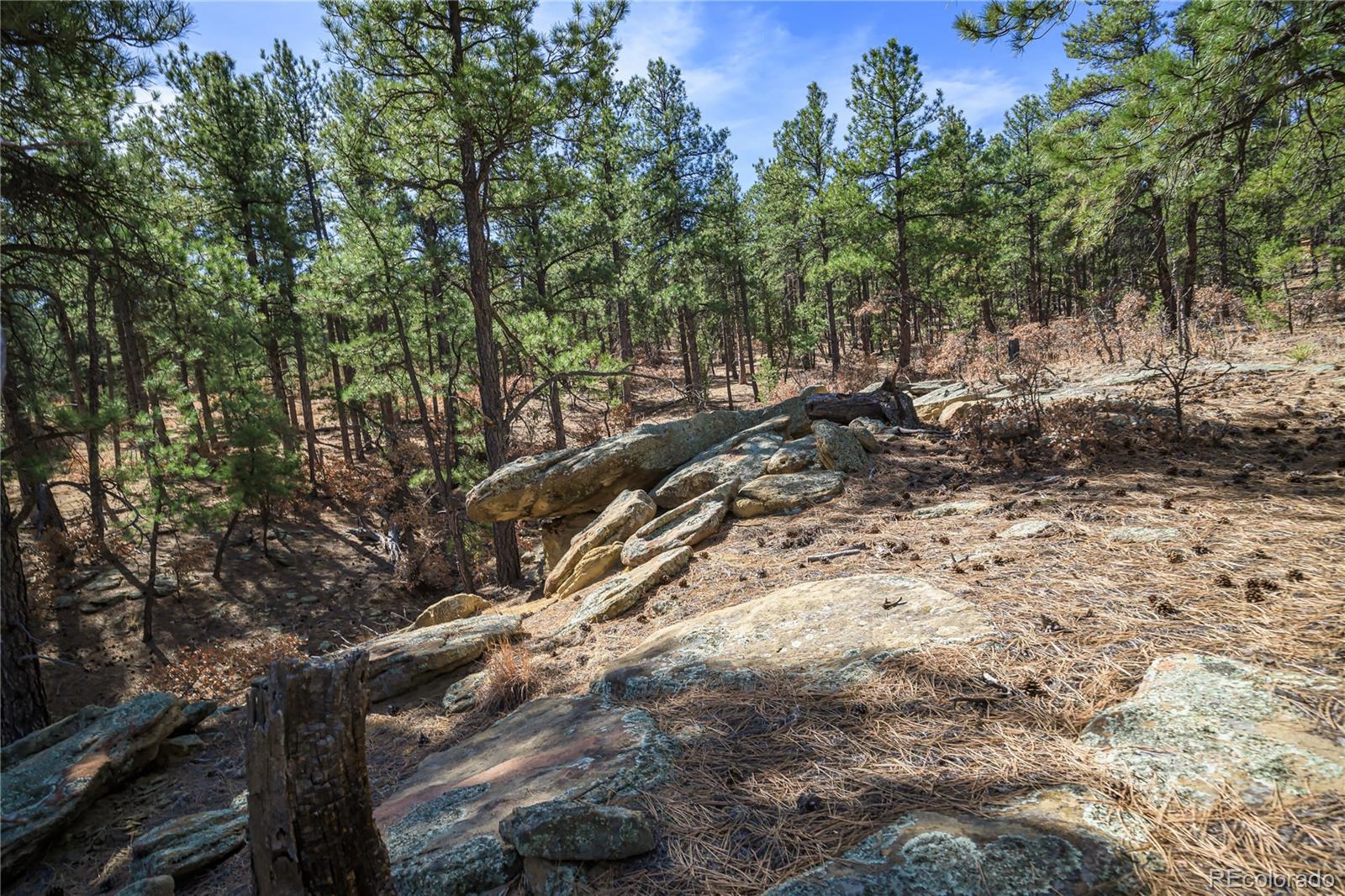 17990 King Road Weston CO 81091
