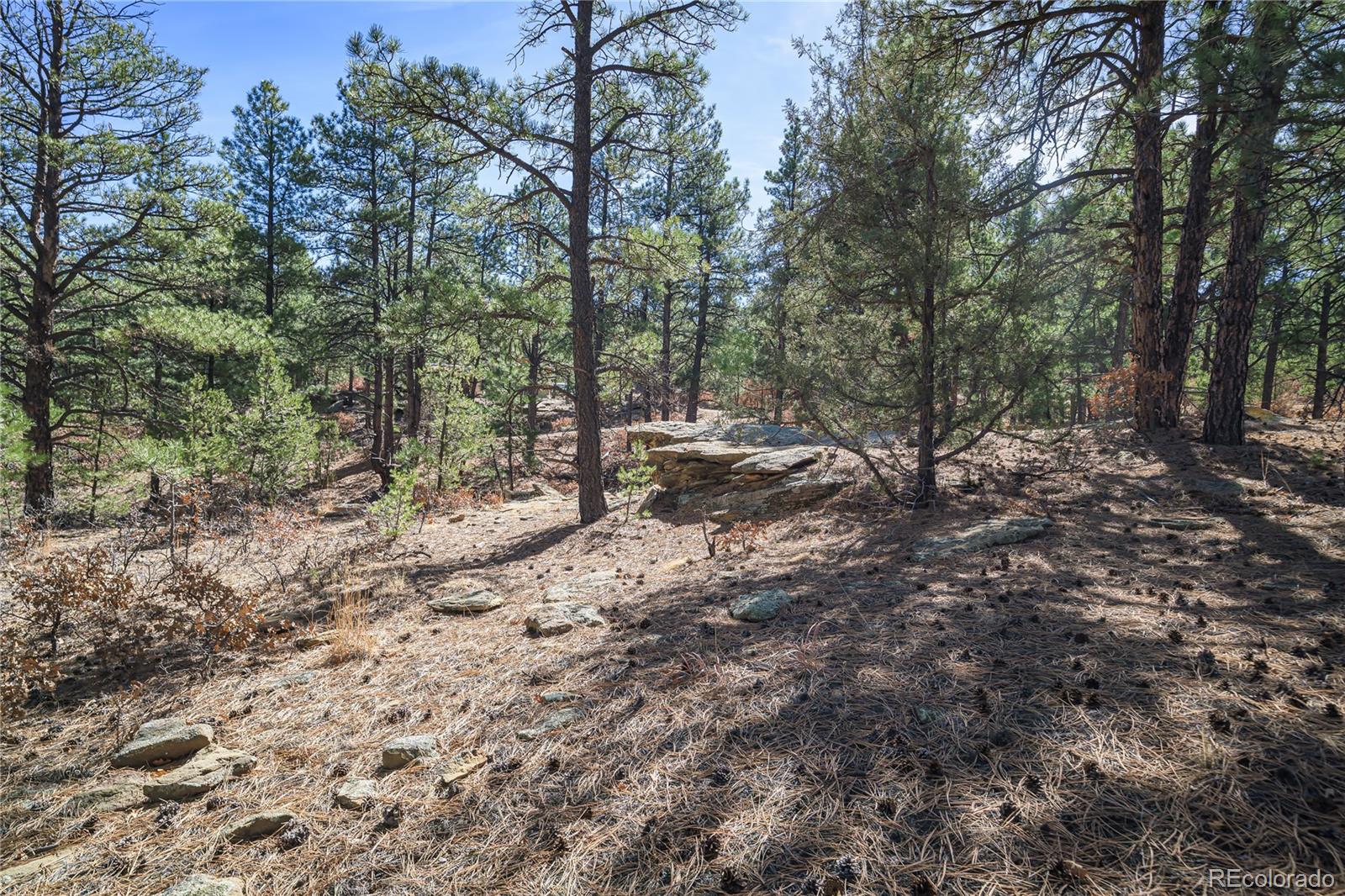 17990 King Road Weston CO 81091