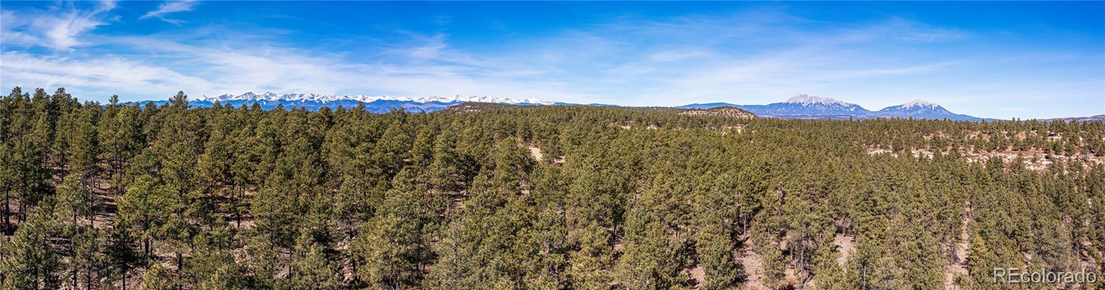 17990 King Road Weston CO 81091