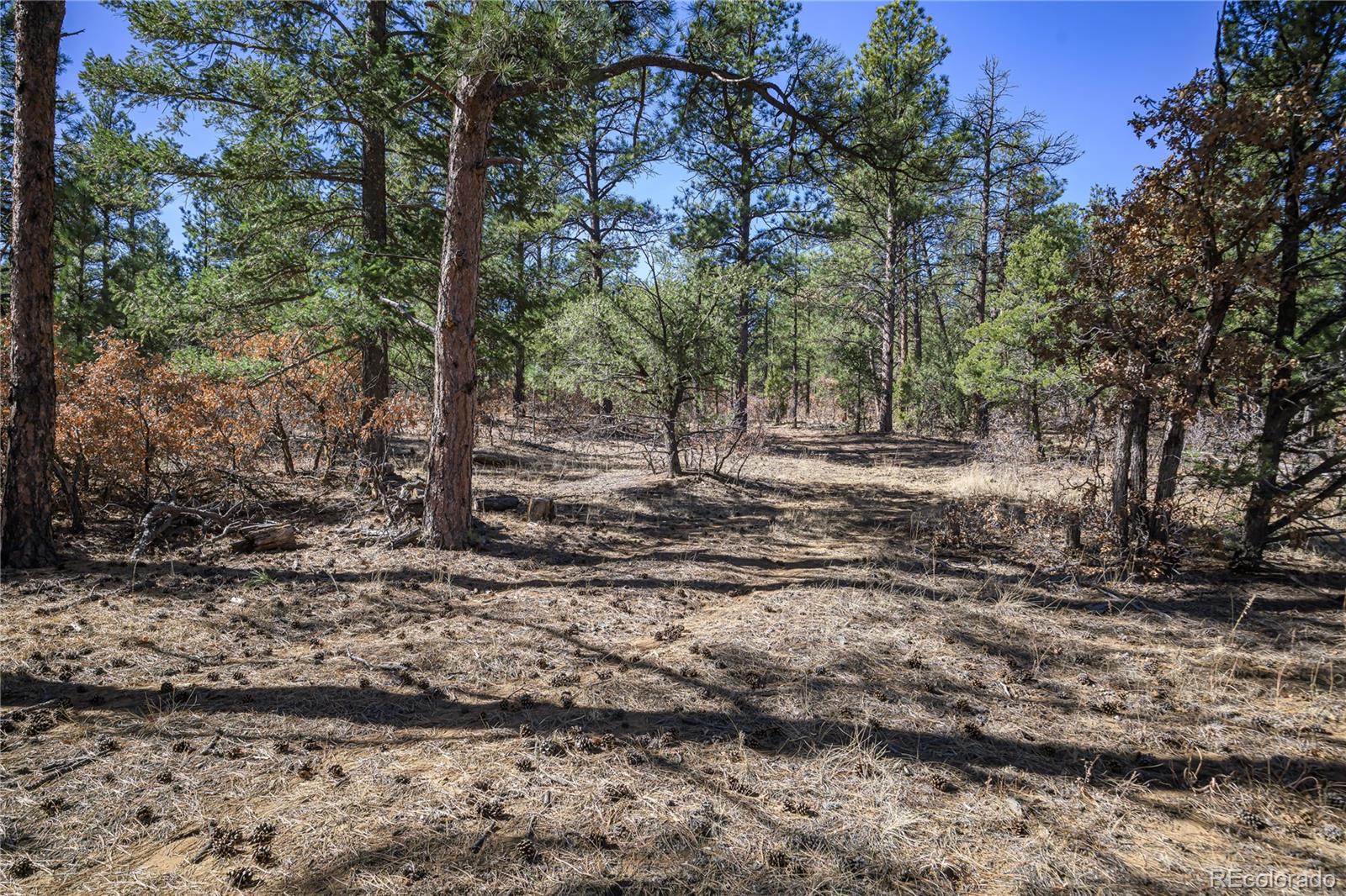17990 King Road Weston CO 81091