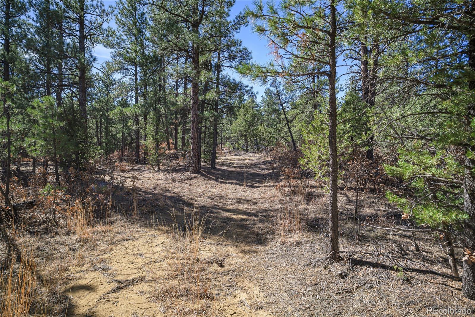 17990 King Road Weston CO 81091