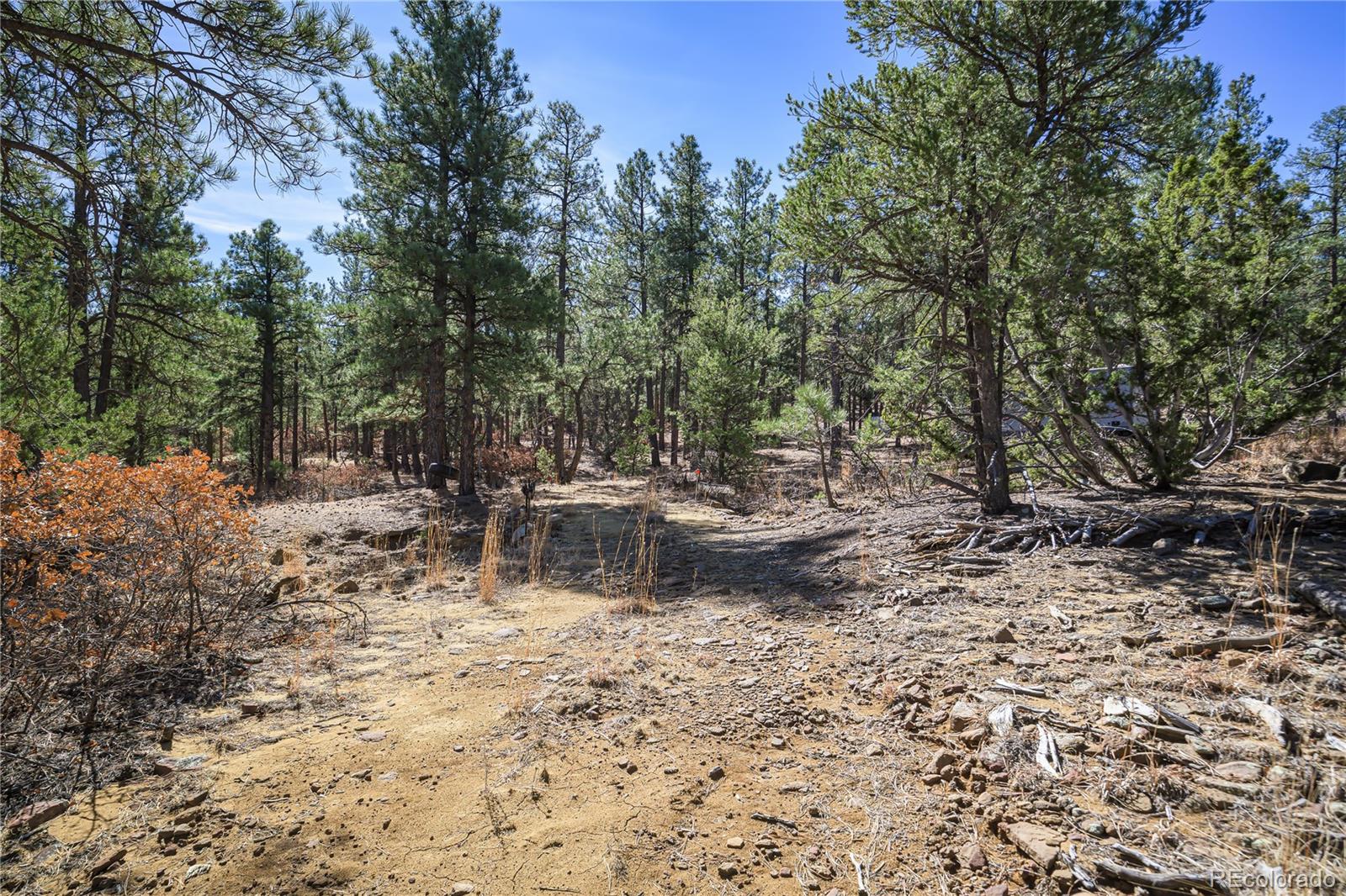 17990 King Road Weston CO 81091