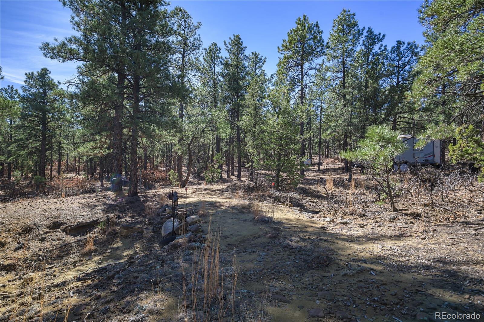 17990 King Road Weston CO 81091
