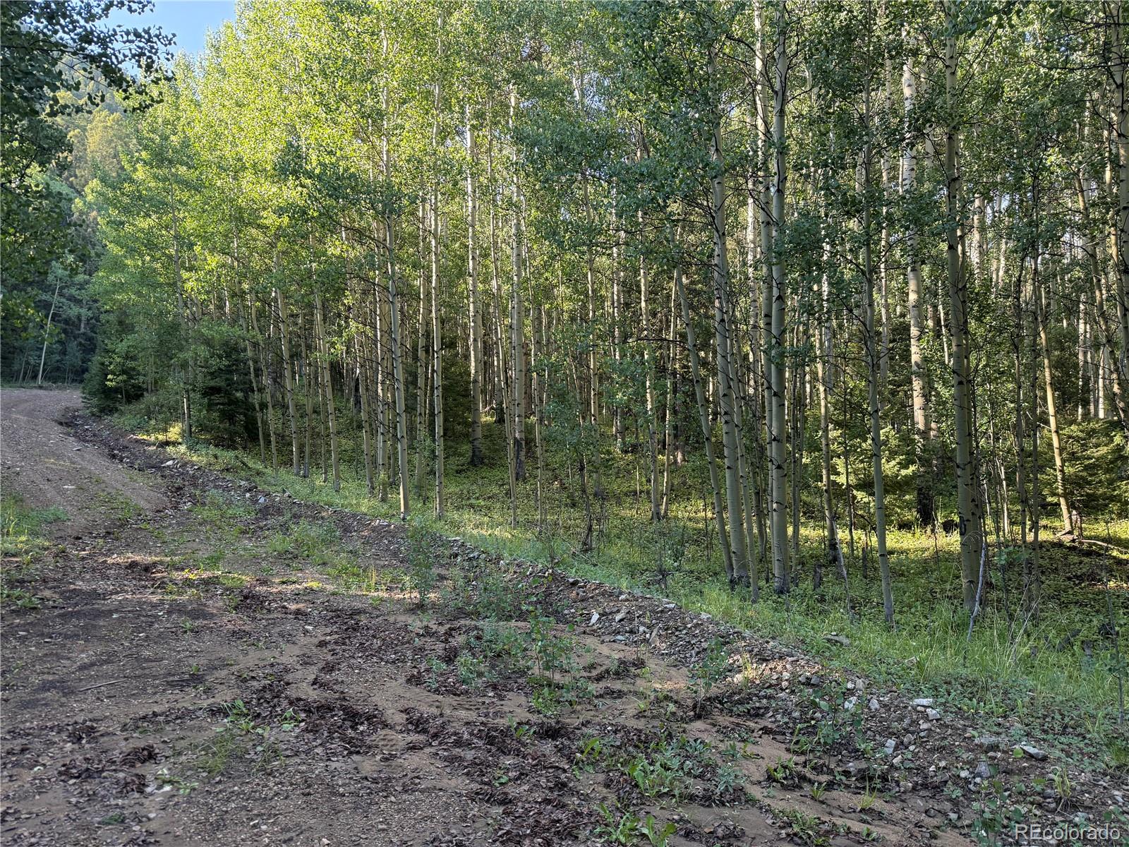 Lot 5331 Hull Road Fort Garland CO 81133