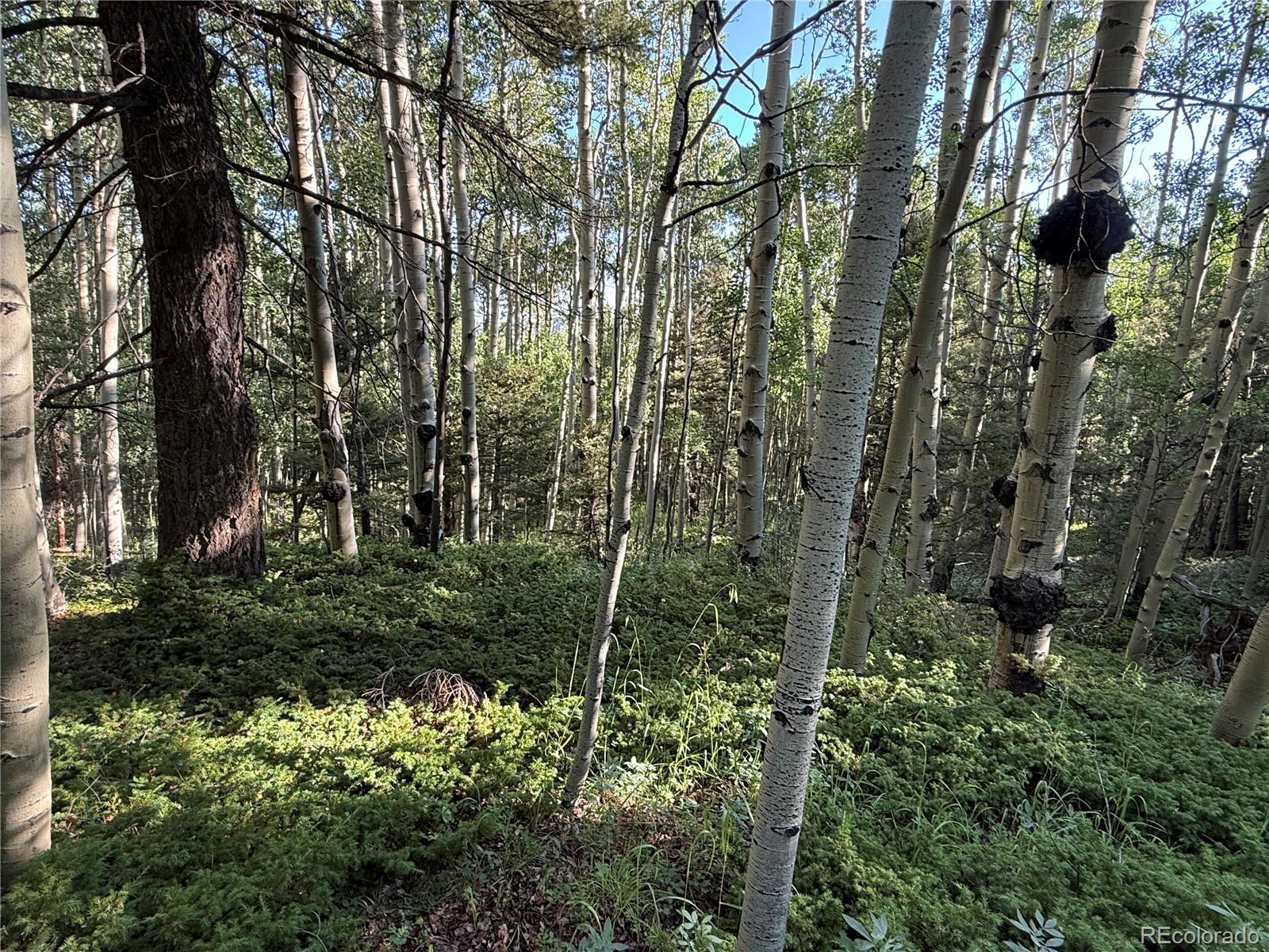 Lot 5331 Hull Road Fort Garland CO 81133