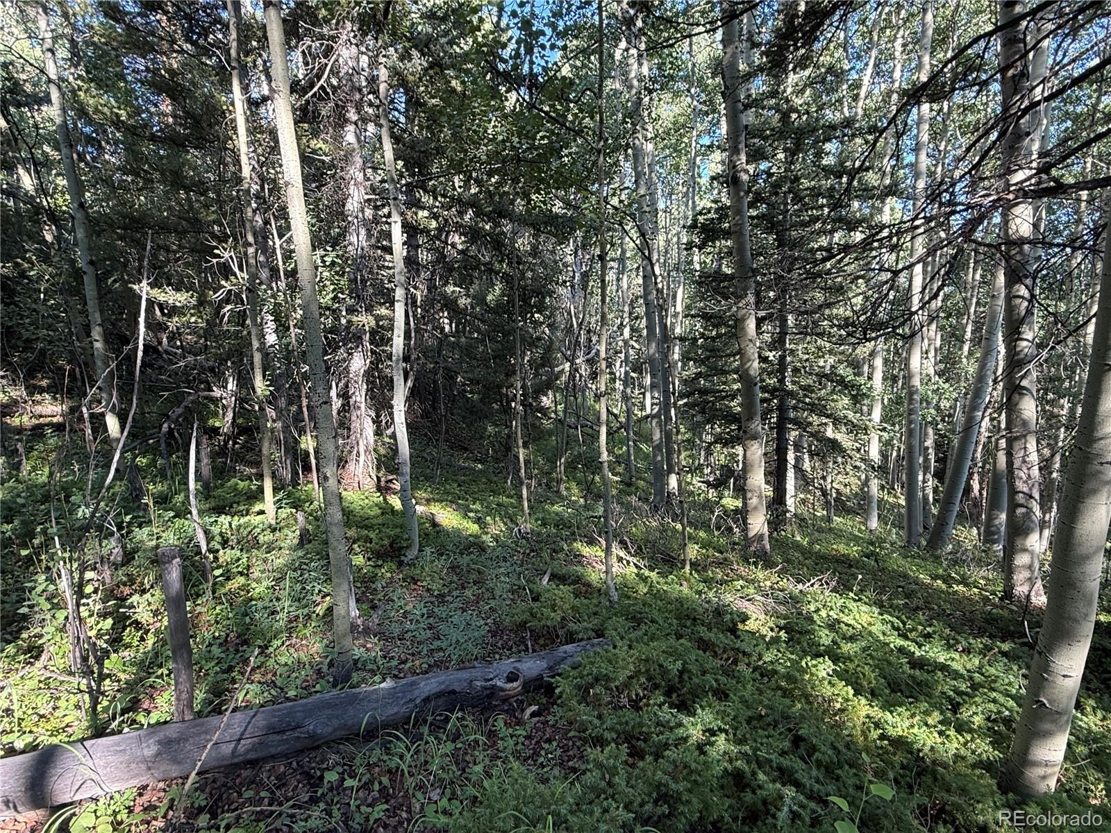 Lot 5331 Hull Road Fort Garland CO 81133