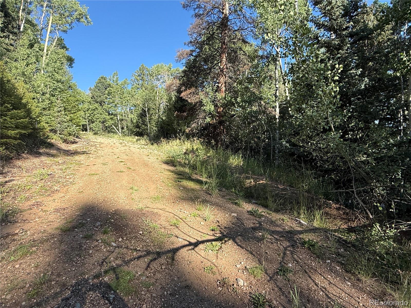 Lot 5331 Hull Road Fort Garland CO 81133