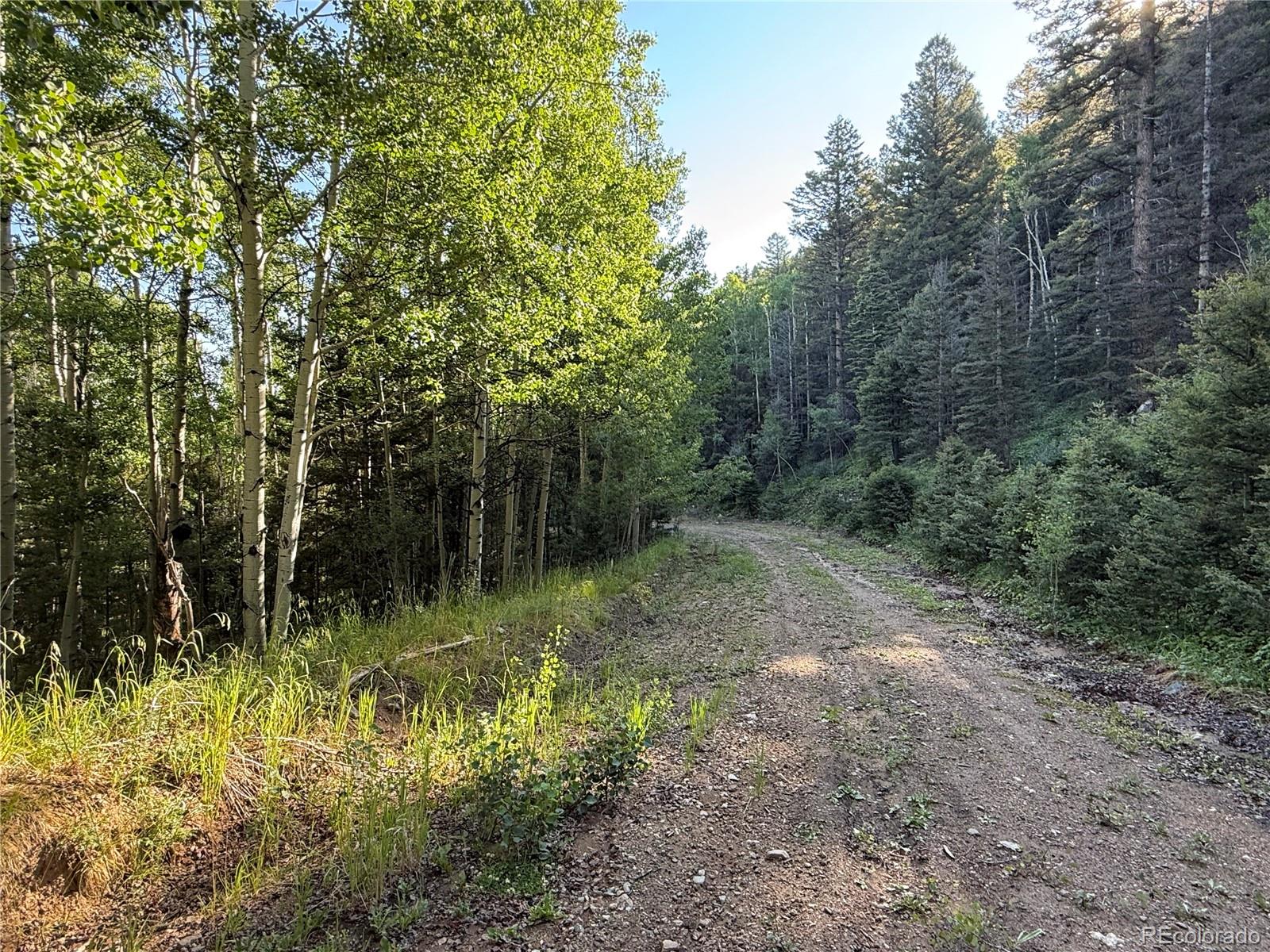 Lot 5331 Hull Road Fort Garland CO 81133