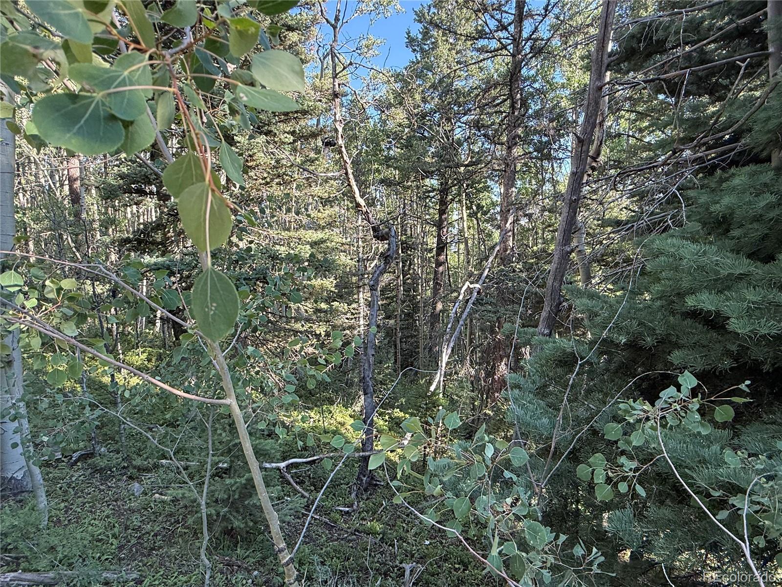 Lot 5331 Hull Road Fort Garland CO 81133