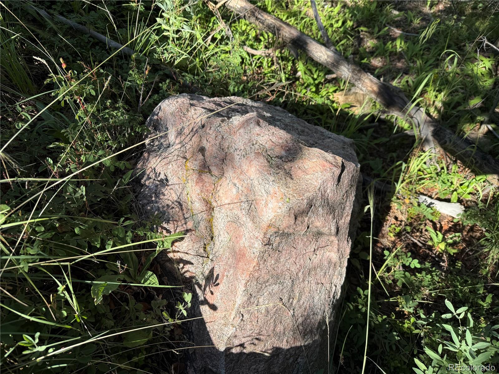 Lot 5331 Hull Road Fort Garland CO 81133