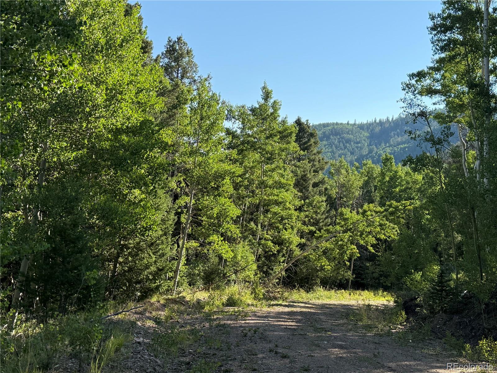 Lot 5331 Hull Road Fort Garland CO 81133