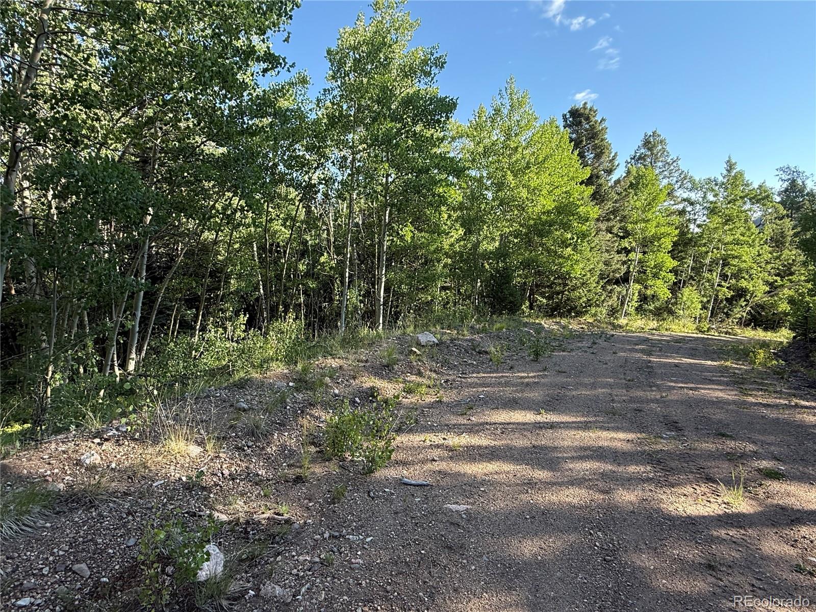 Lot 5331 Hull Road Fort Garland CO 81133