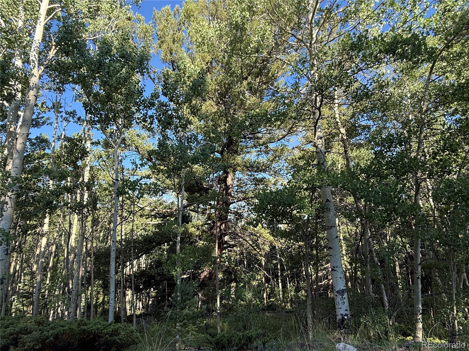 Lot 5331 Hull Road Fort Garland CO 81133