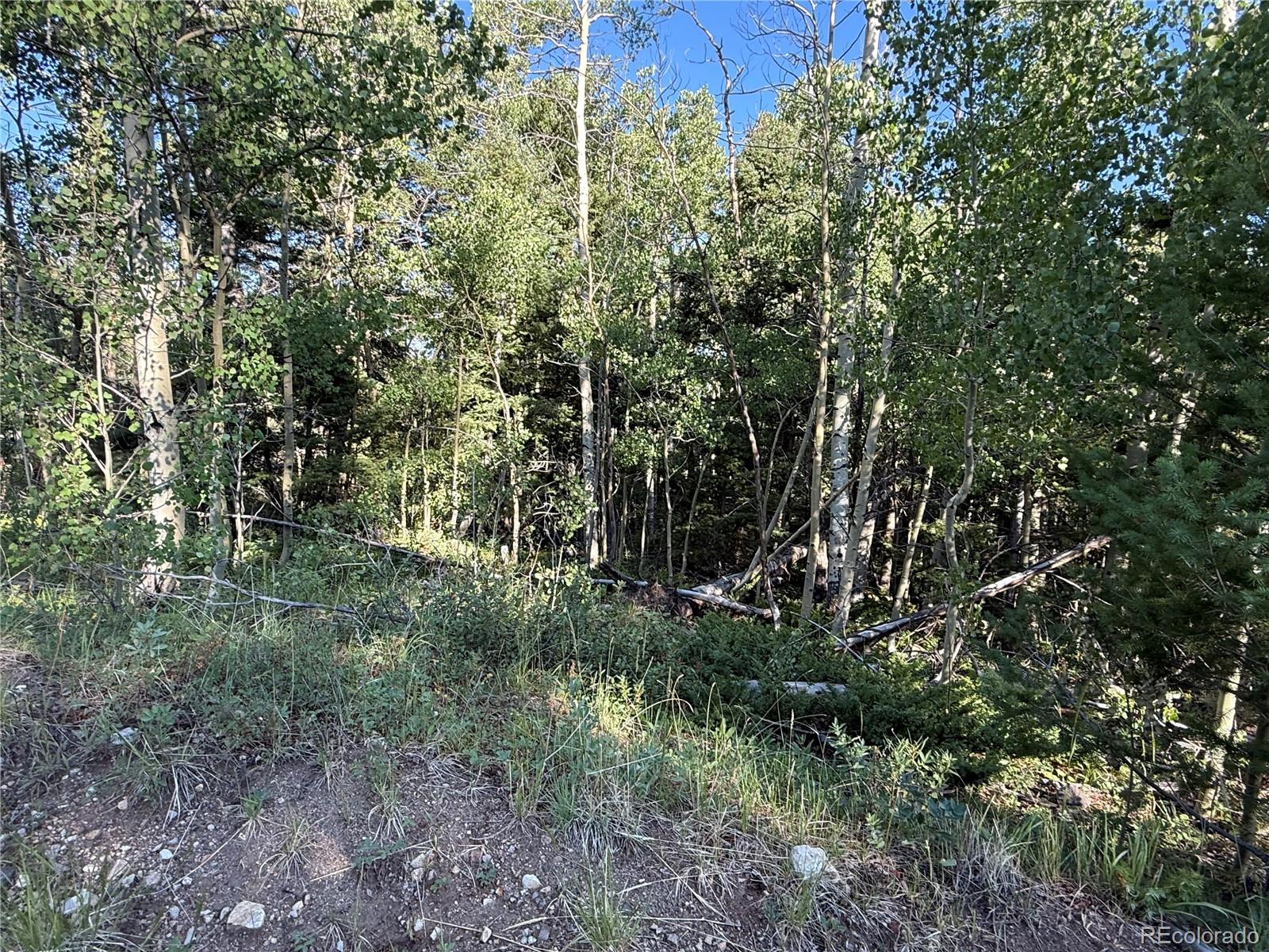 Lot 5331 Hull Road Fort Garland CO 81133