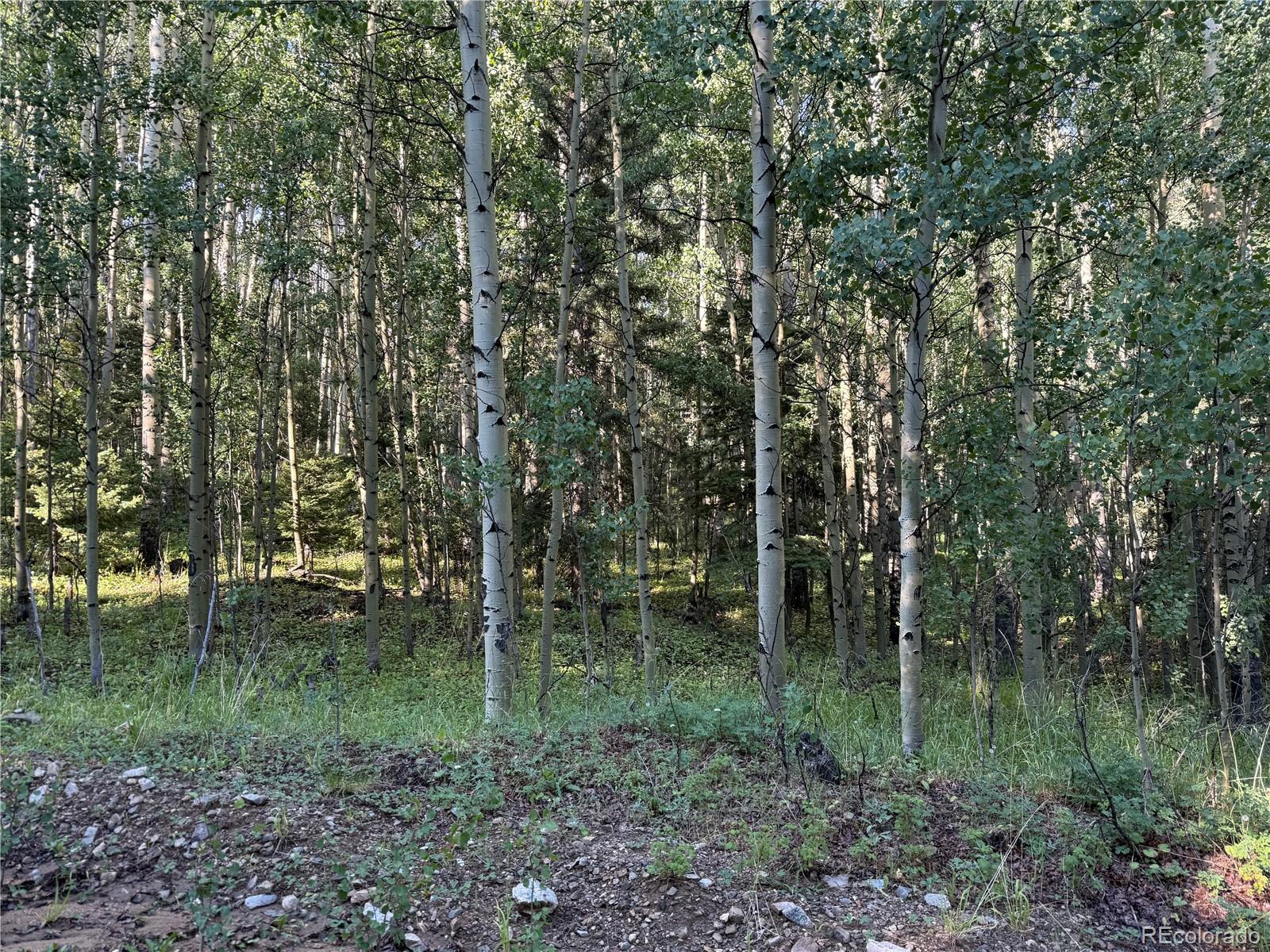 Lot 5331 Hull Road Fort Garland CO 81133