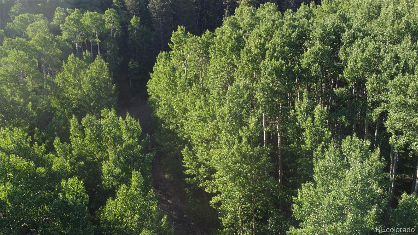 Lot 5331 Hull Road Fort Garland CO 81133