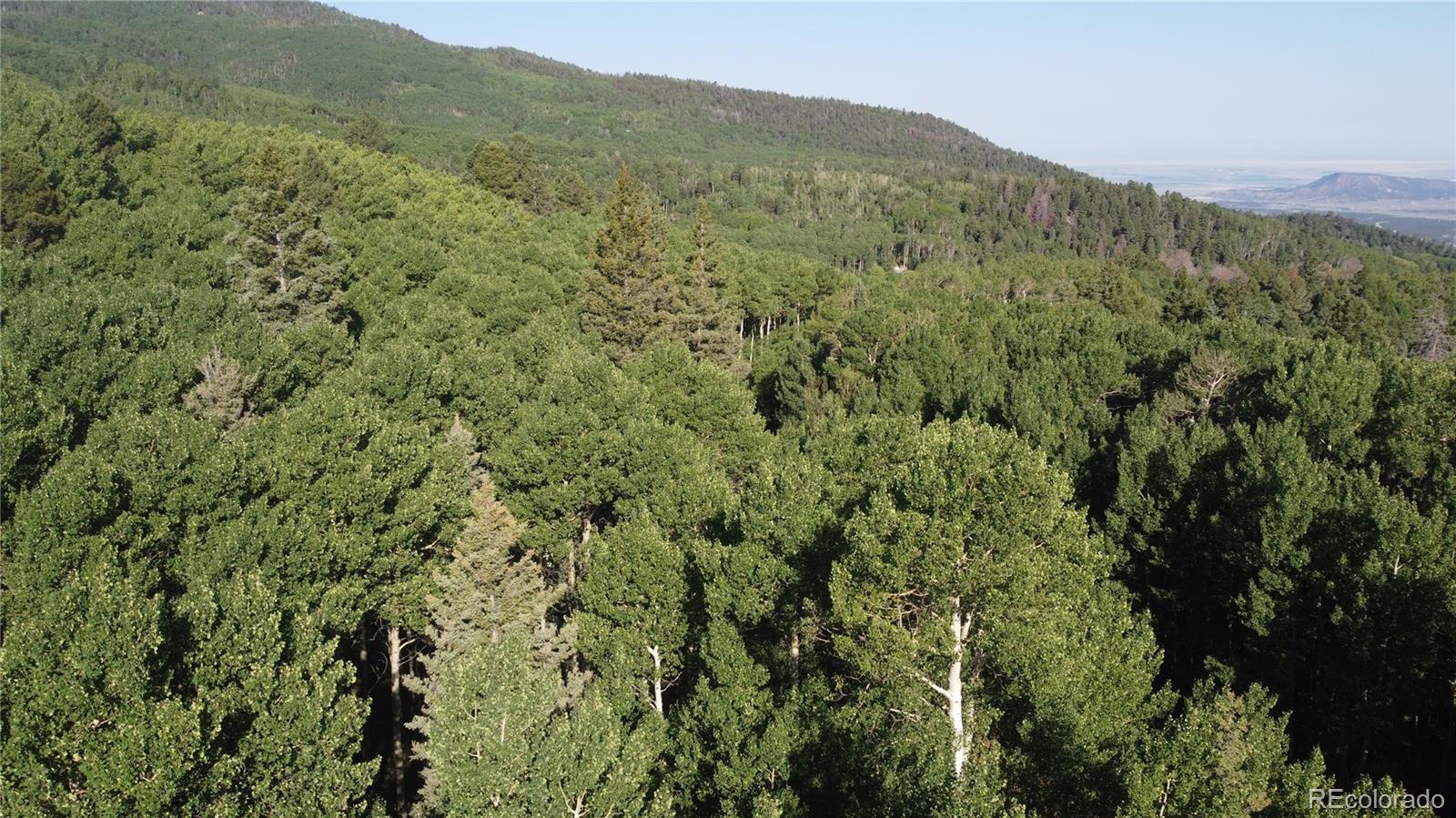 Lot 5331 Hull Road Fort Garland CO 81133