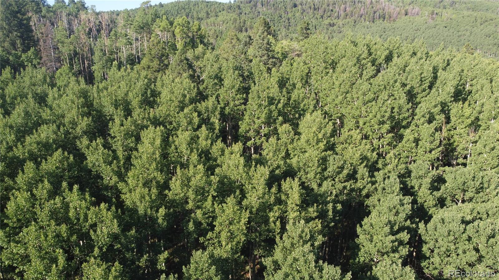 Lot 5331 Hull Road Fort Garland CO 81133