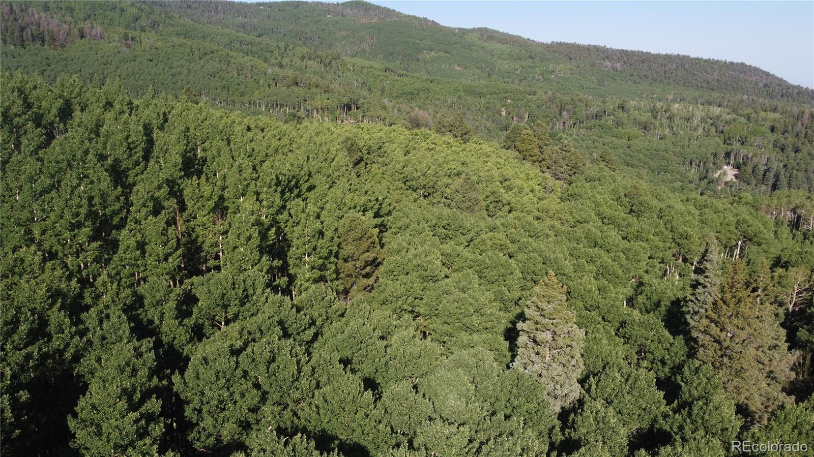 Lot 5331 Hull Road Fort Garland CO 81133