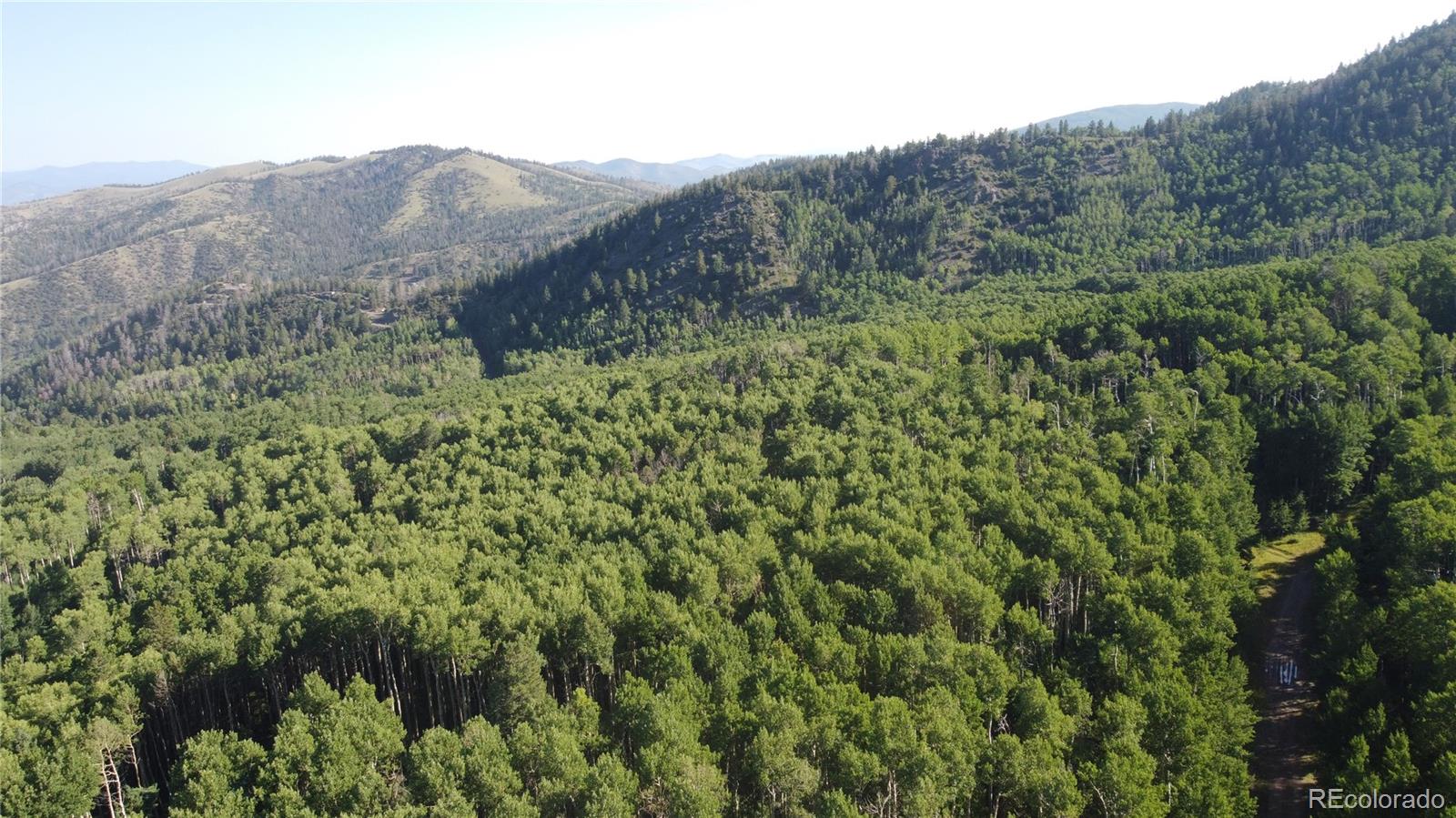 Lot 5331 Hull Road Fort Garland CO 81133