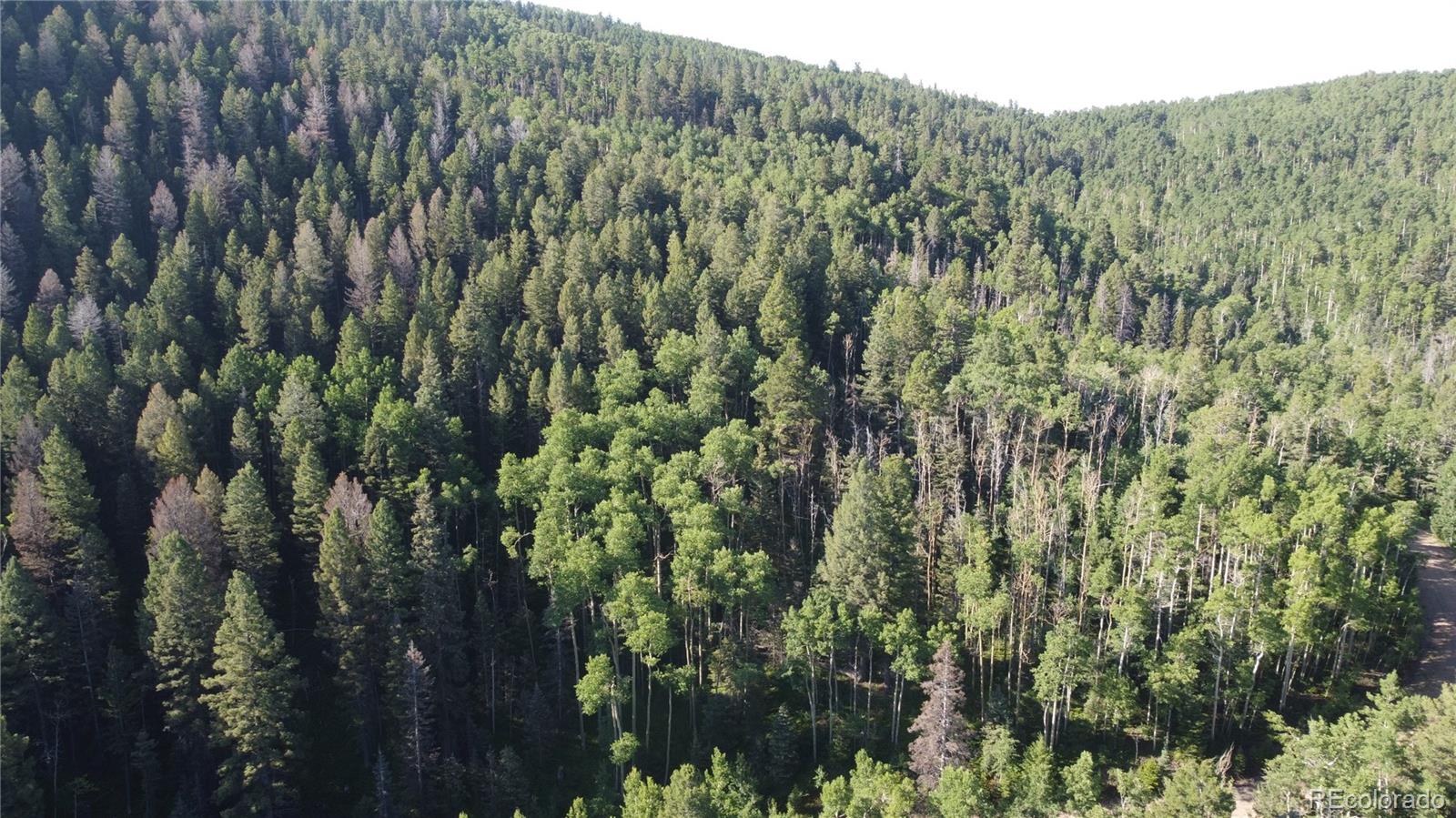 Lot 5331 Hull Road Fort Garland CO 81133