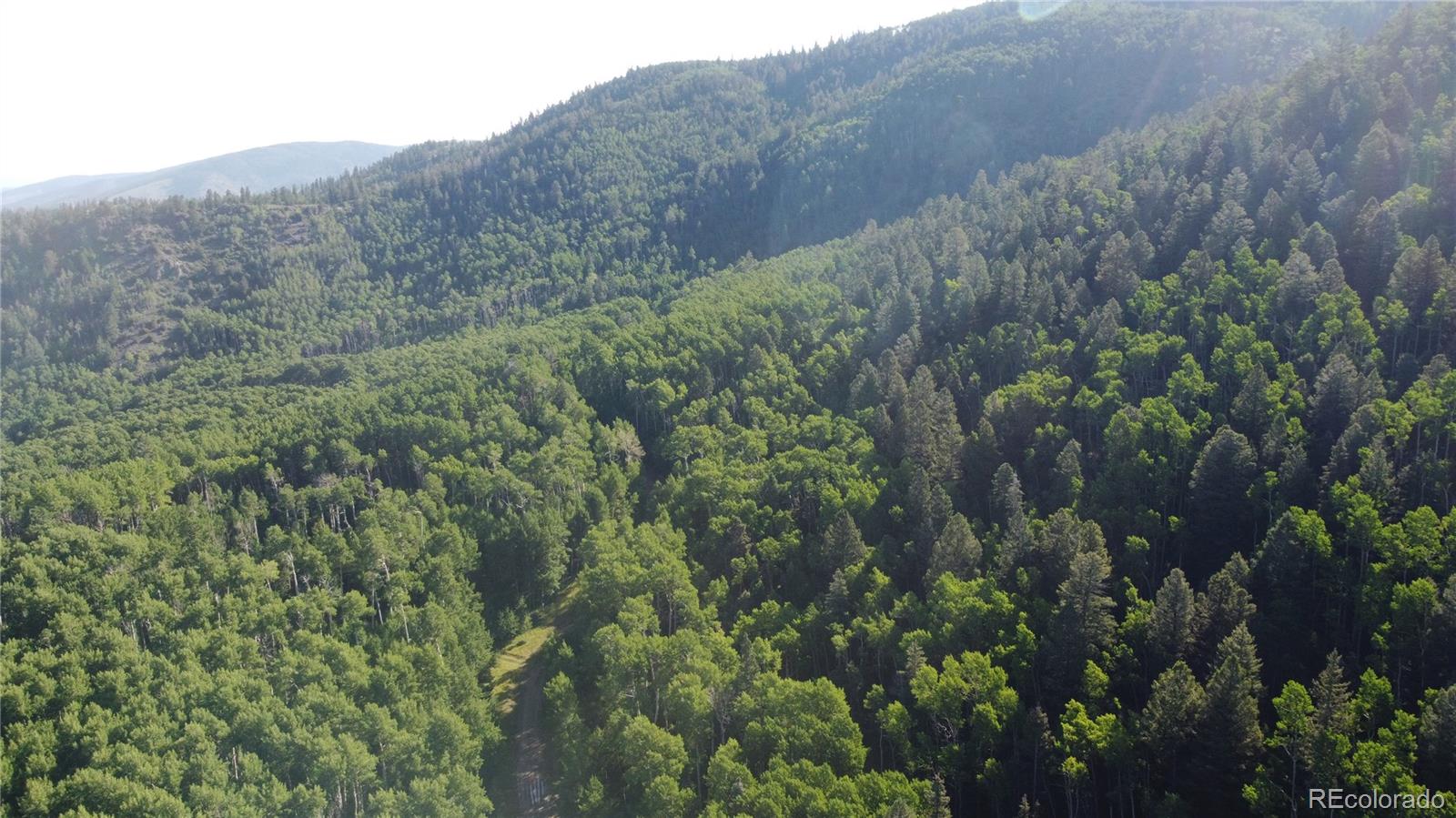 Lot 5331 Hull Road Fort Garland CO 81133
