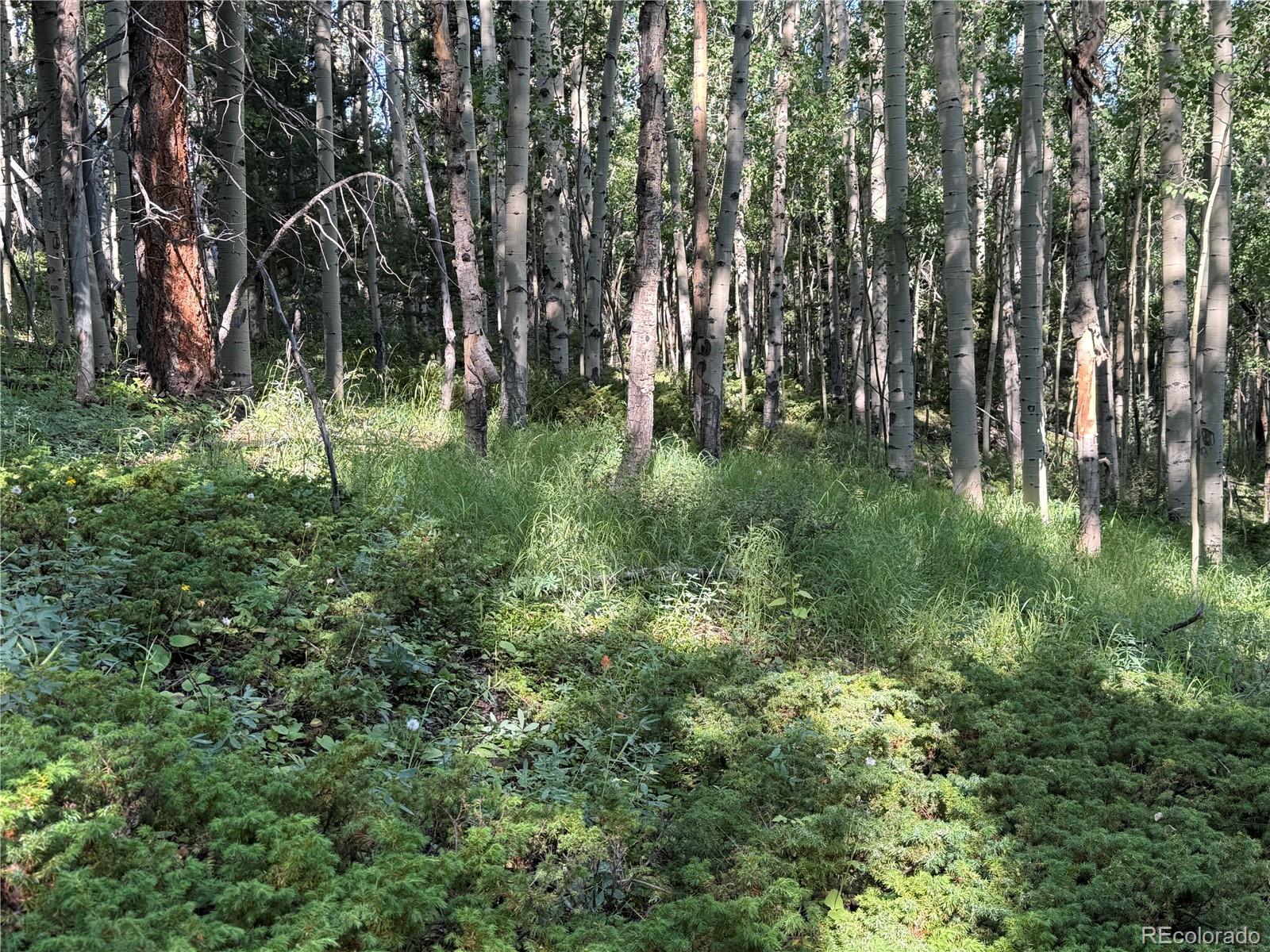 Lot 5331 Hull Road Fort Garland CO 81133