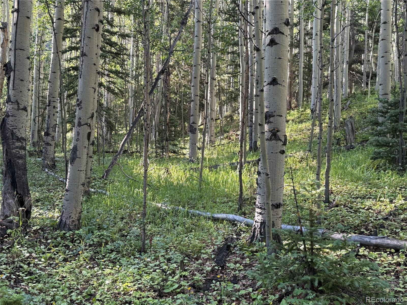 Lot 5331 Hull Road Fort Garland CO 81133
