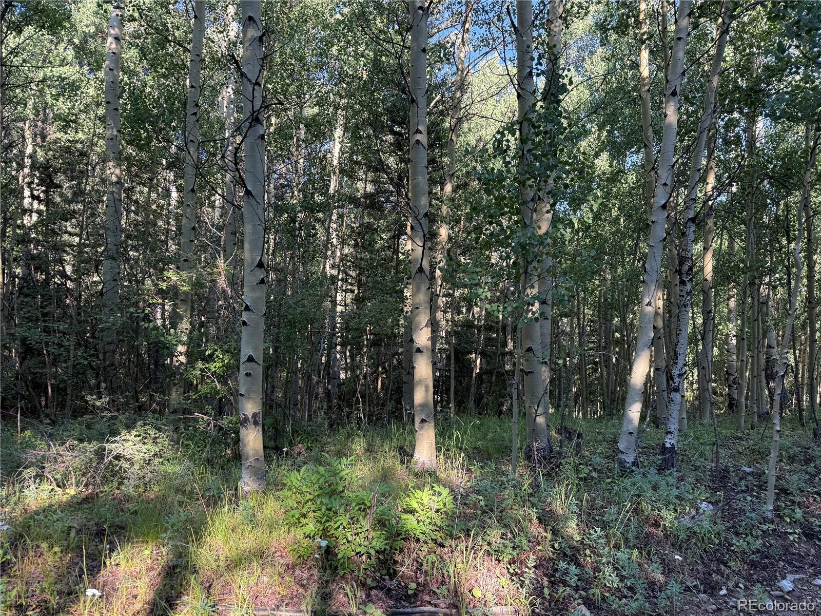 Lot 5331 Hull Road Fort Garland CO 81133