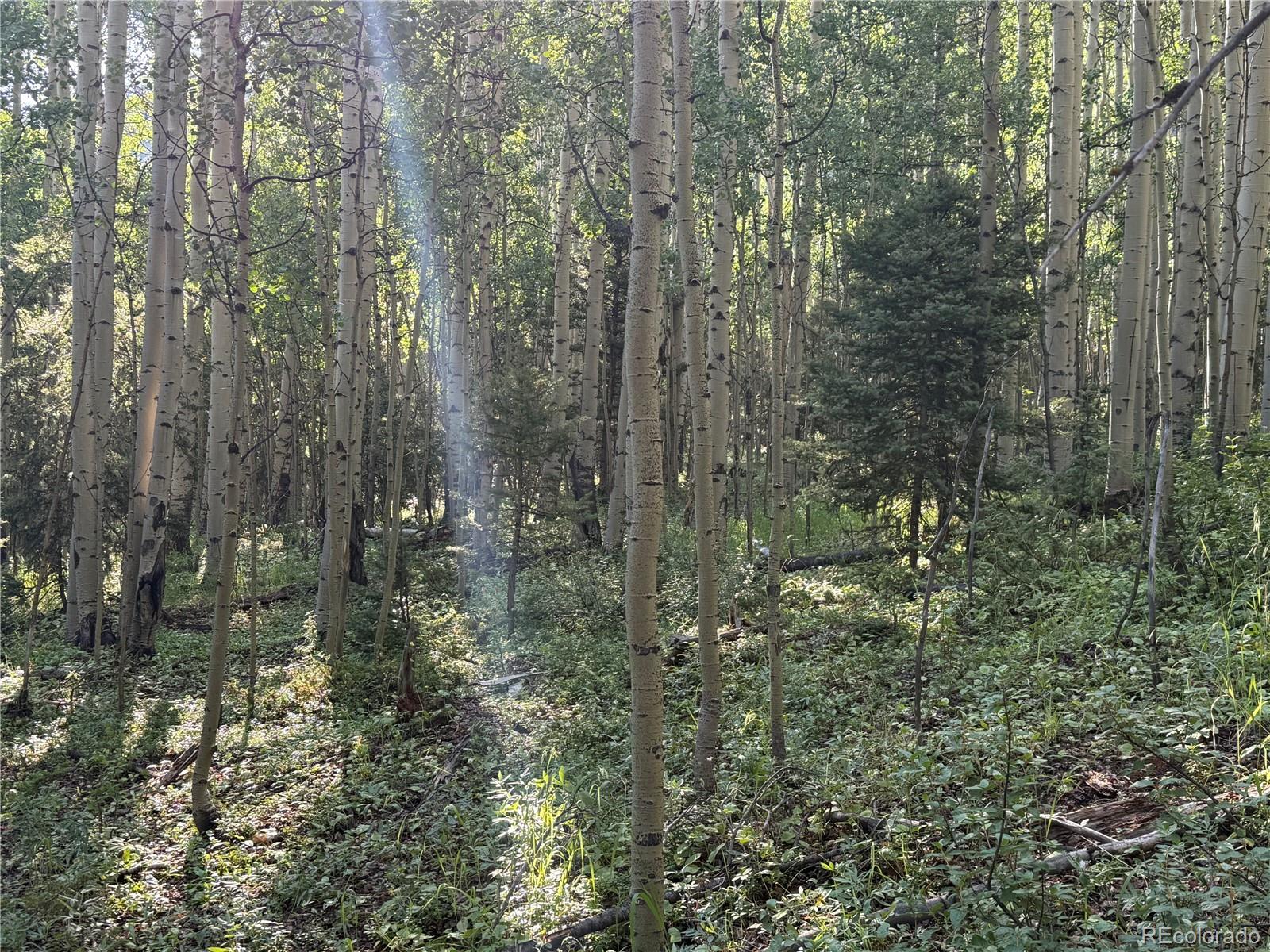 Lot 5331 Hull Road Fort Garland CO 81133