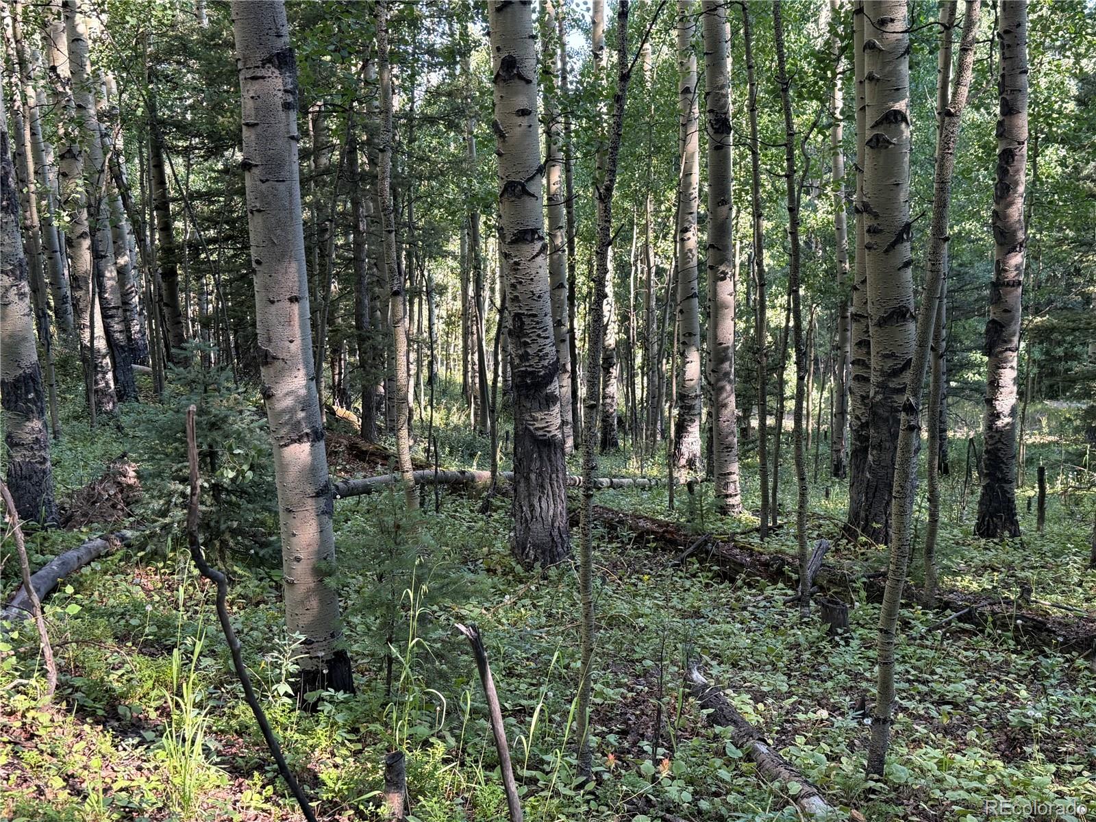 Lot 5331 Hull Road Fort Garland CO 81133