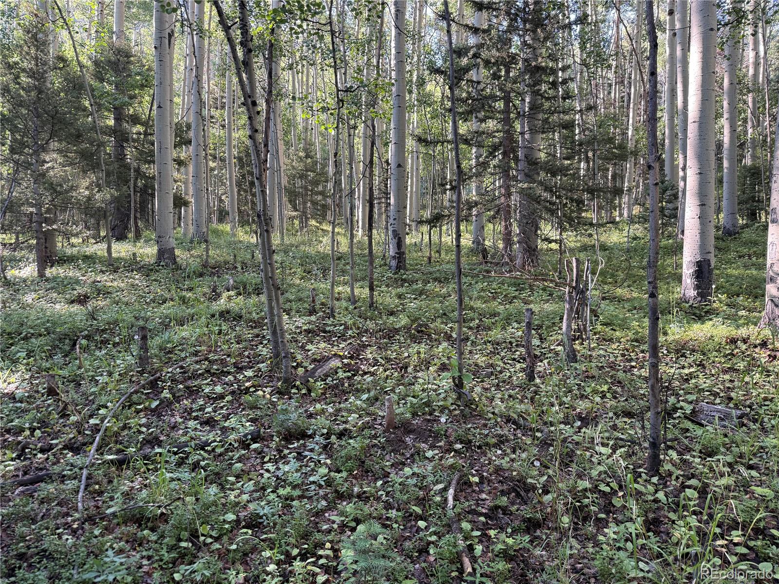 Lot 5331 Hull Road Fort Garland CO 81133