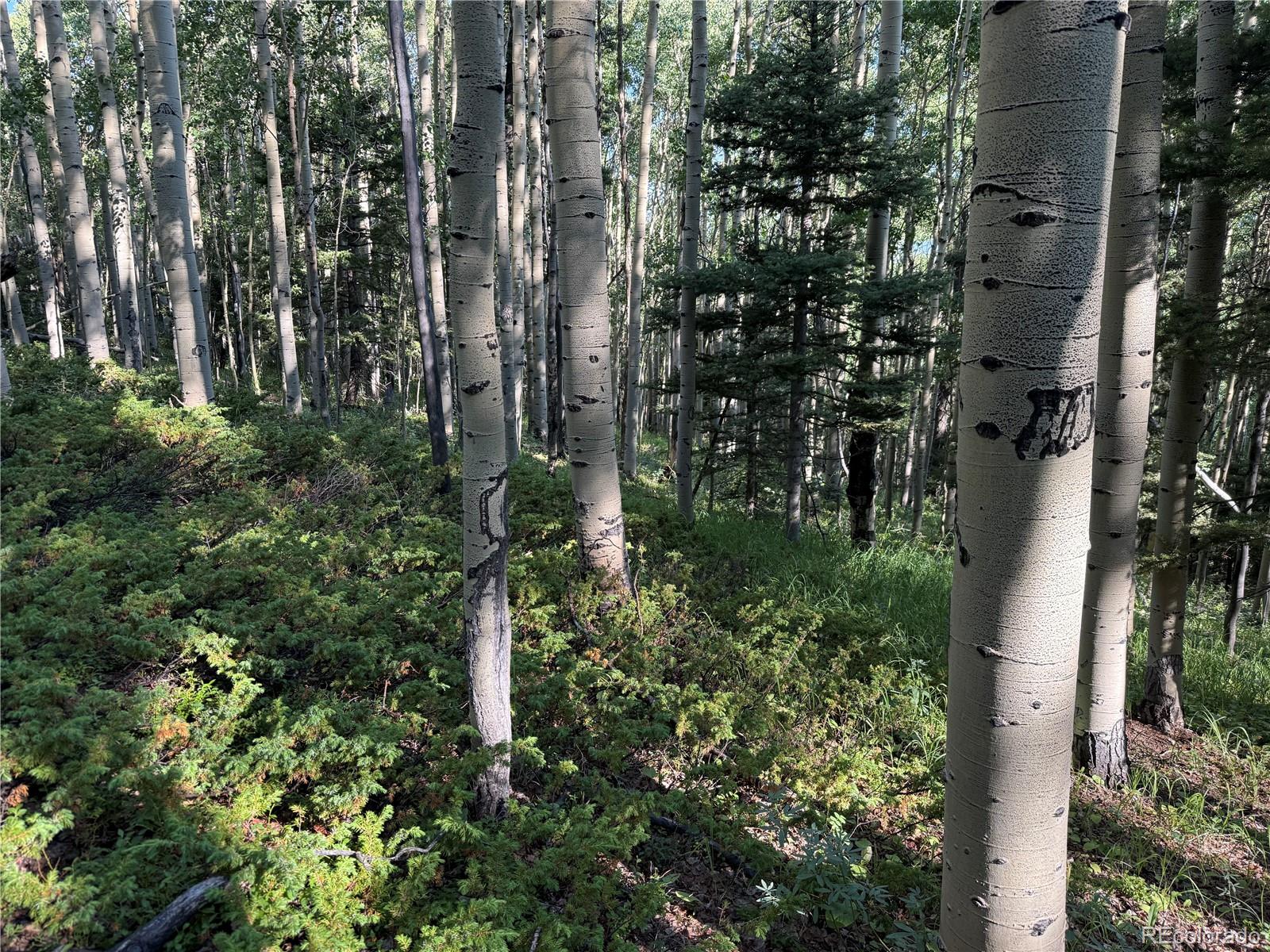 Lot 5331 Hull Road Fort Garland CO 81133