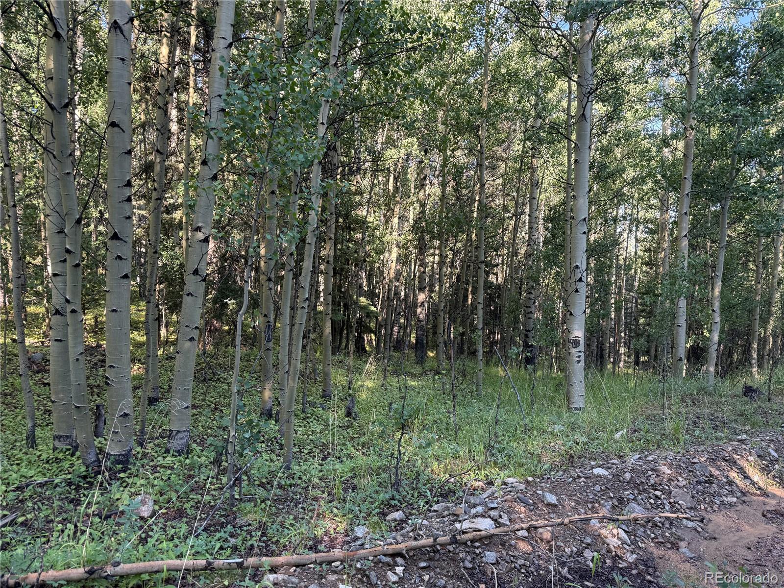 Lot 5331 Hull Road Fort Garland CO 81133