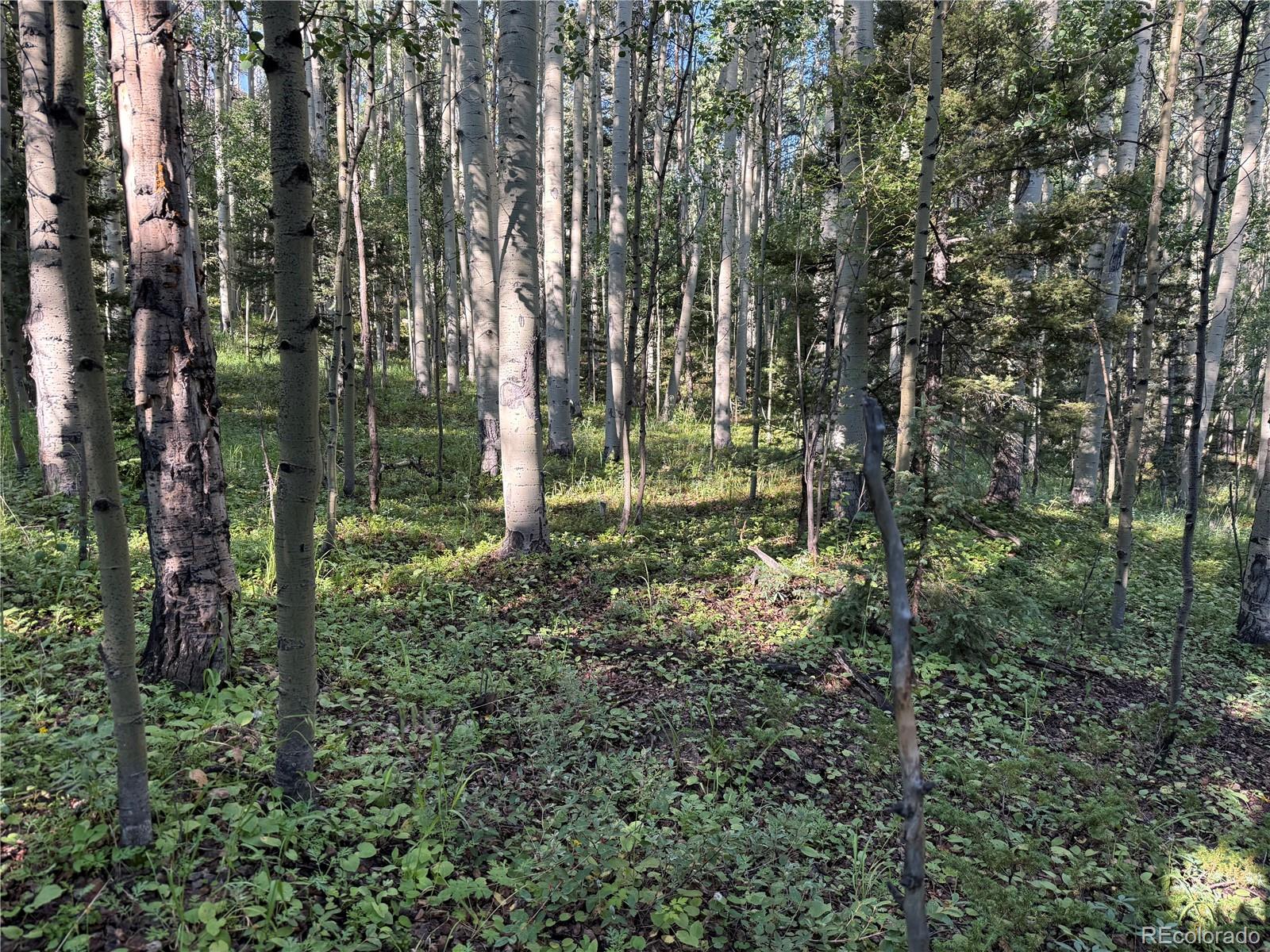 Lot 5331 Hull Road Fort Garland CO 81133