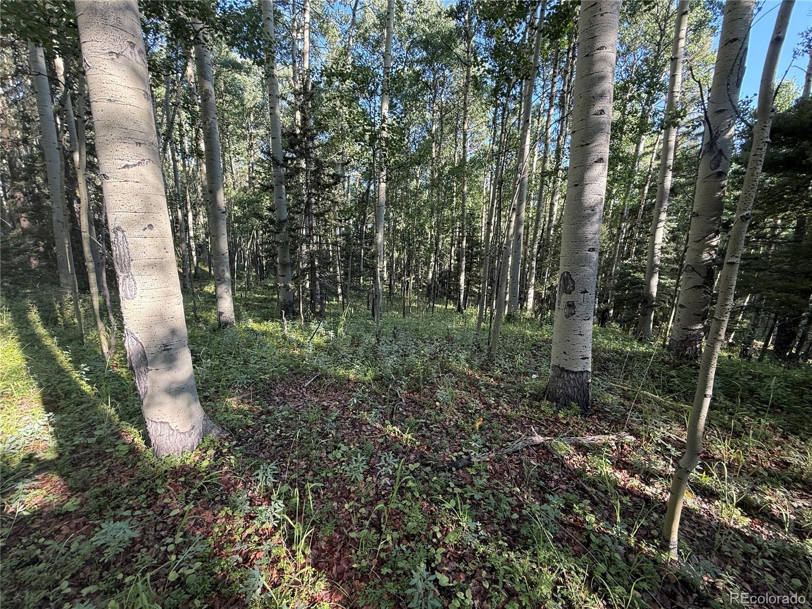 Lot 5331 Hull Road Fort Garland CO 81133