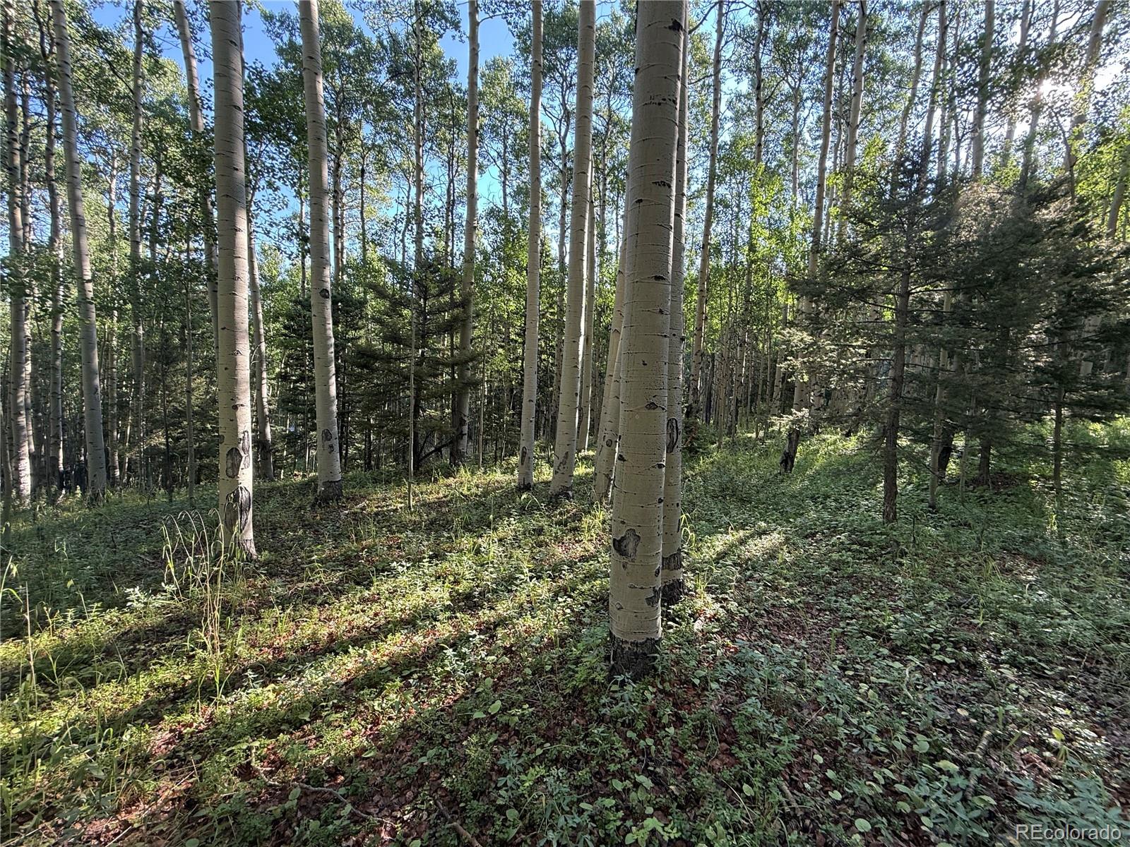 Lot 5331 Hull Road Fort Garland CO 81133