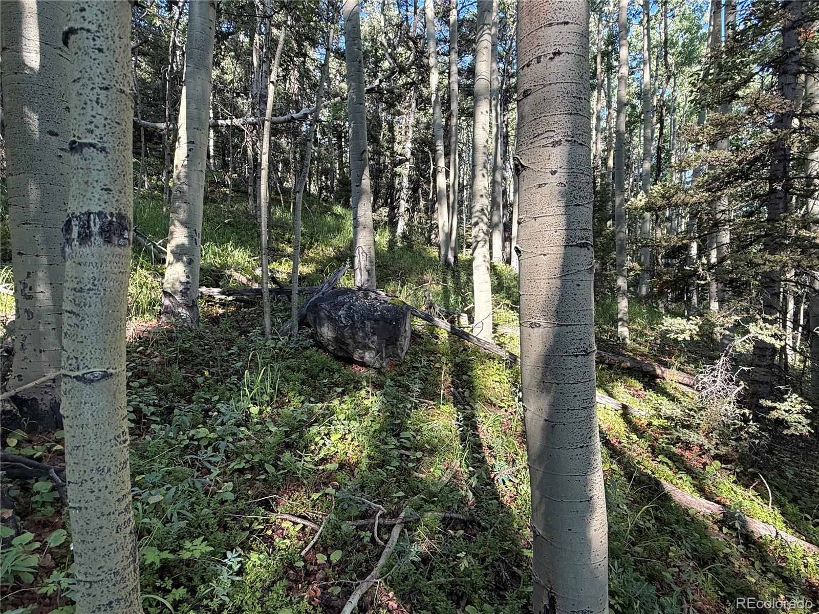 Lot 5331 Hull Road Fort Garland CO 81133